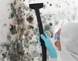 Why You Should Choose Our Mold Remediation Services in Sterling, KS